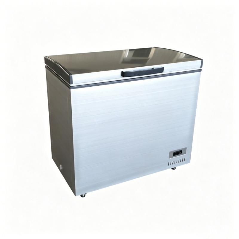 سعة كبيرة -60 ° مجمد أفقي منخف - مراجعة Commercial Chest Freezer وسعره